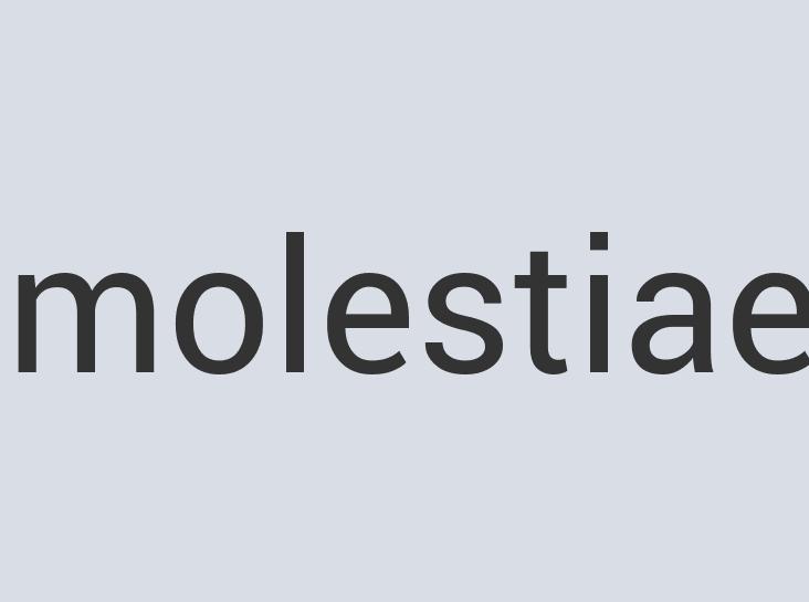 Gorgeous Wool FoamBone