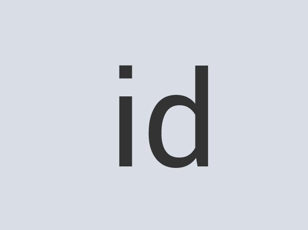 Ergonomic Iron Electoad