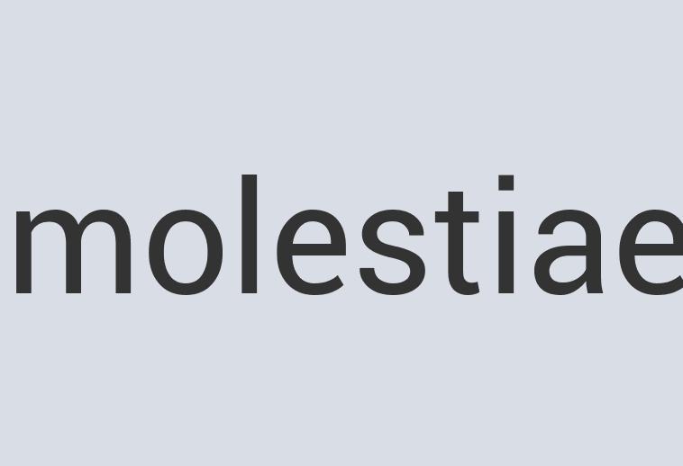 Fantastic Paper Mad Grahams