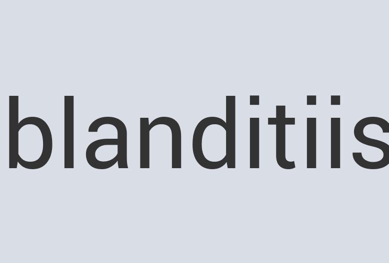 Lightweight Marble Bamboolong