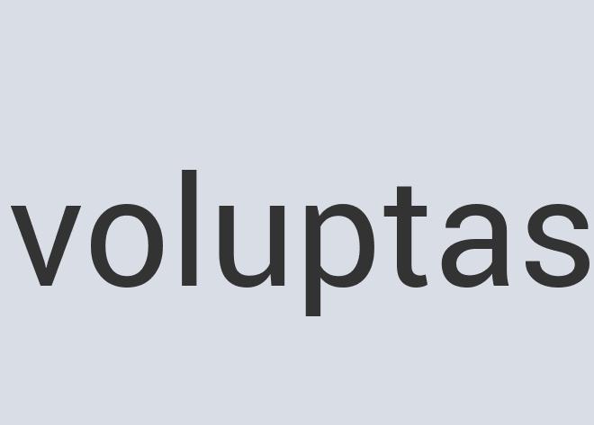 Durable Wool Magnemo