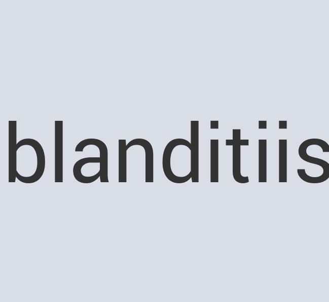 Intelligent Bronze MotherWalk